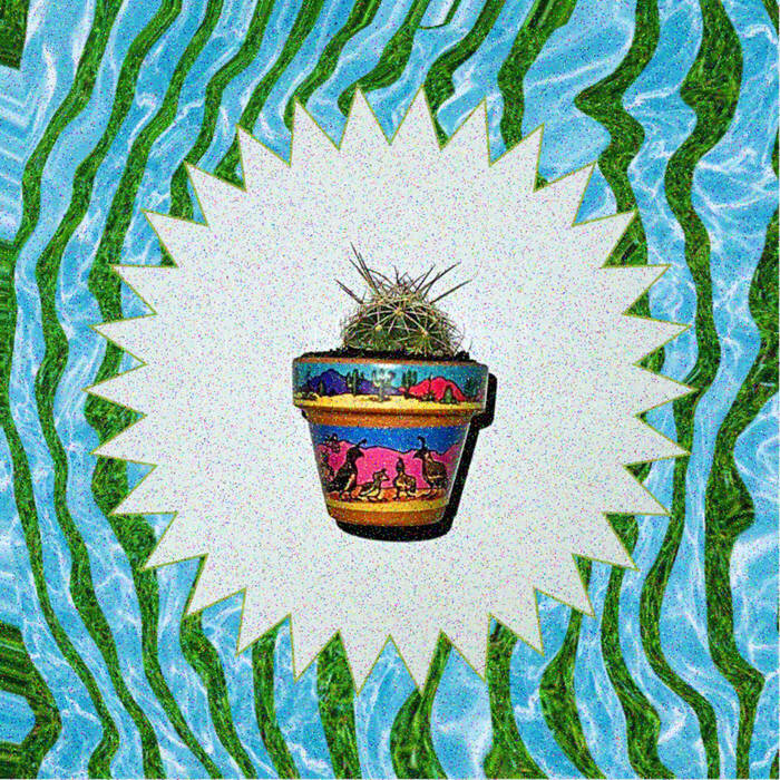 Cactus Magnet
